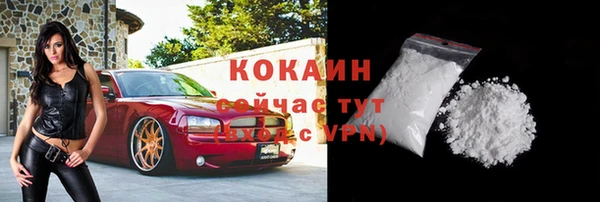 индика Балабаново