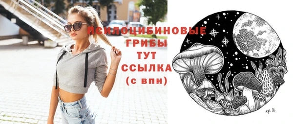 индика Балабаново